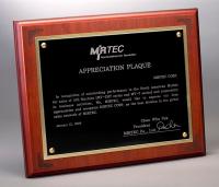 2006 Mirtec Appreciation Award